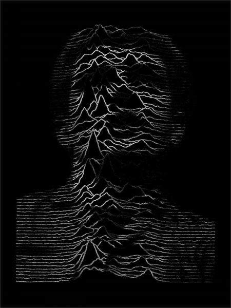 Shadowplay | Limited Edition Joy Division Screen Print | Never Made